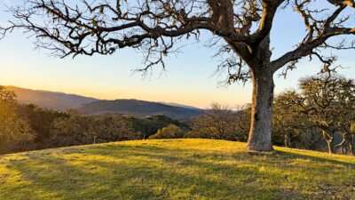 00Hero_23VT_4574 - 23 Vasquez Trail - La Tierra Realty 2023