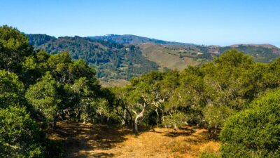 01-2_Corral_Run_091