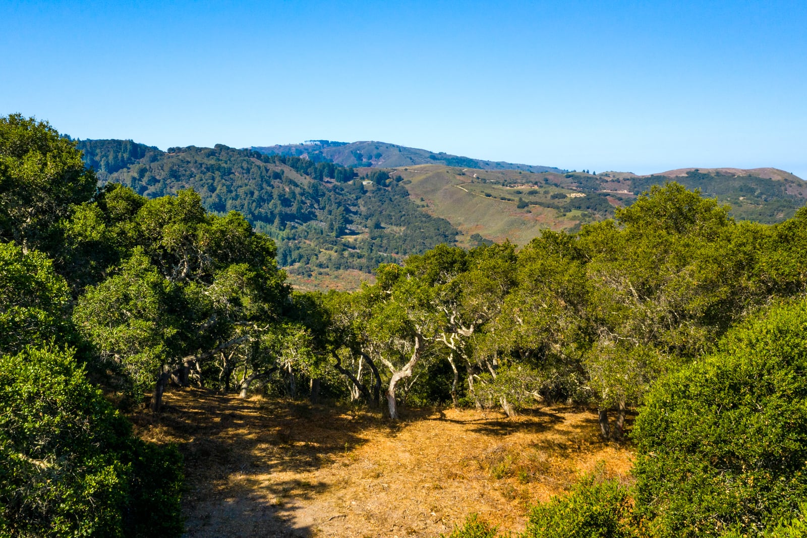 01-2_Corral_Run_091