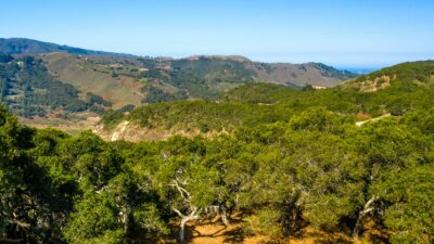 02-2_Corral_Run_093