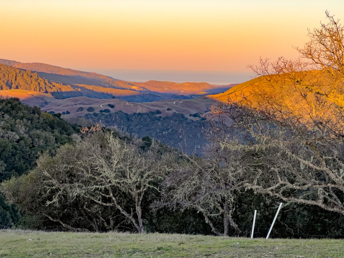 02MLS_23 VT_4637 - 23 Vasquez Trail - La Tierra Realty 2023