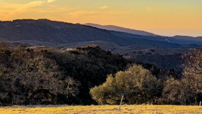 03MLS_23 VT_4576 - 23 Vasquez Trail - La Tierra Realty 2023