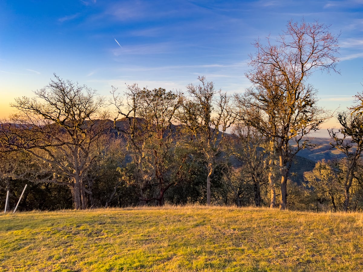 06MLS_23 VT_4590 - 23 Vasquez Trail - La Tierra Realty 2023