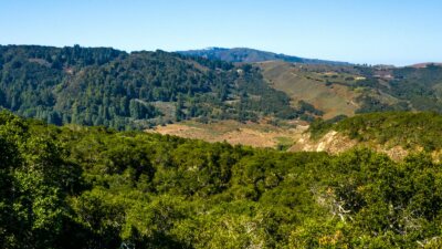 07-2_Corral_Run_102