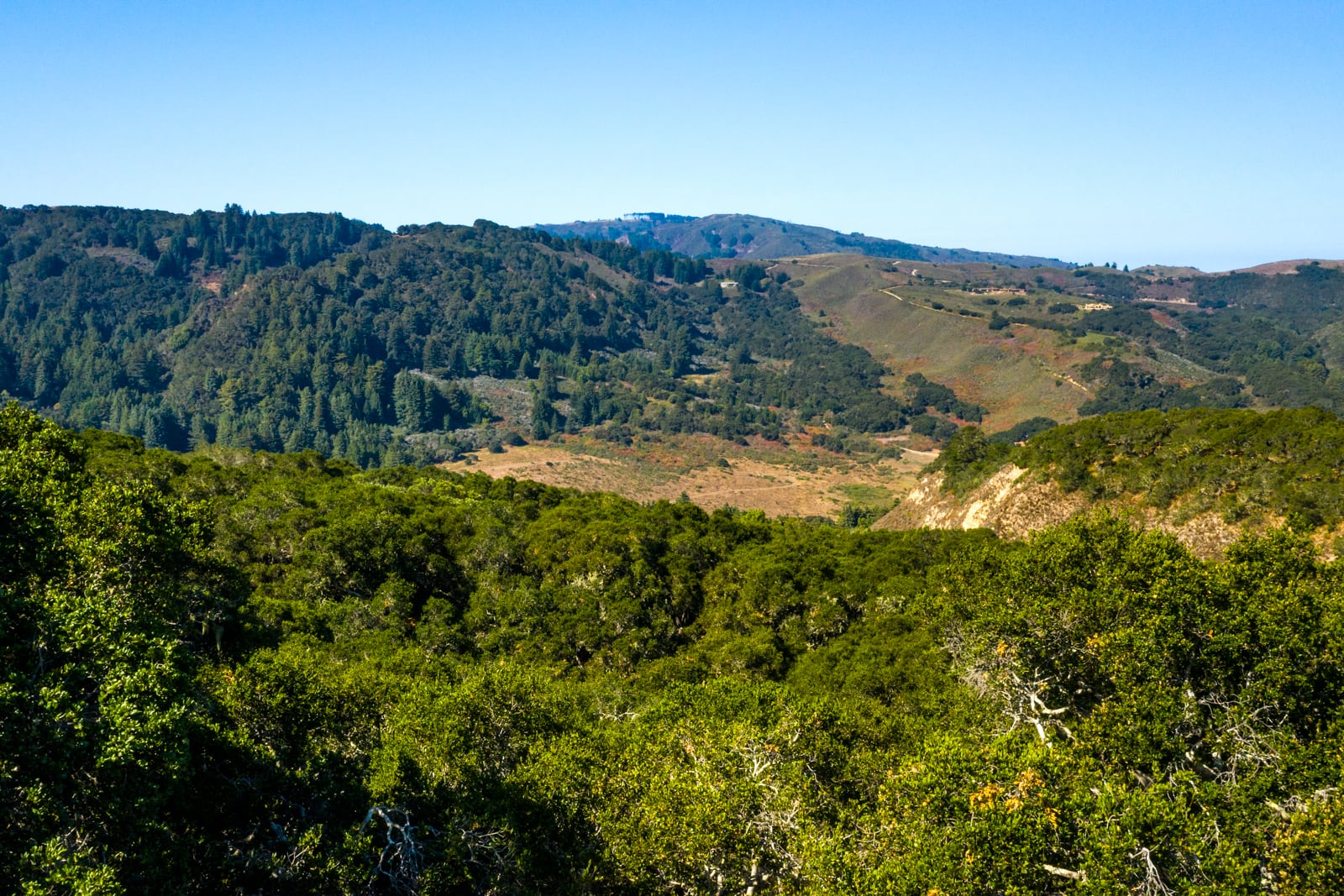 07-2_Corral_Run_102