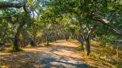09-2_Corral_Run_057