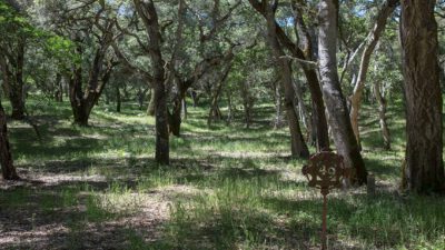 1 -9 Garzas Trail-1