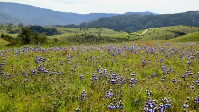 1 Peñon Peak Trail - 4 - FU0A8445 - © Keck Properties 2025