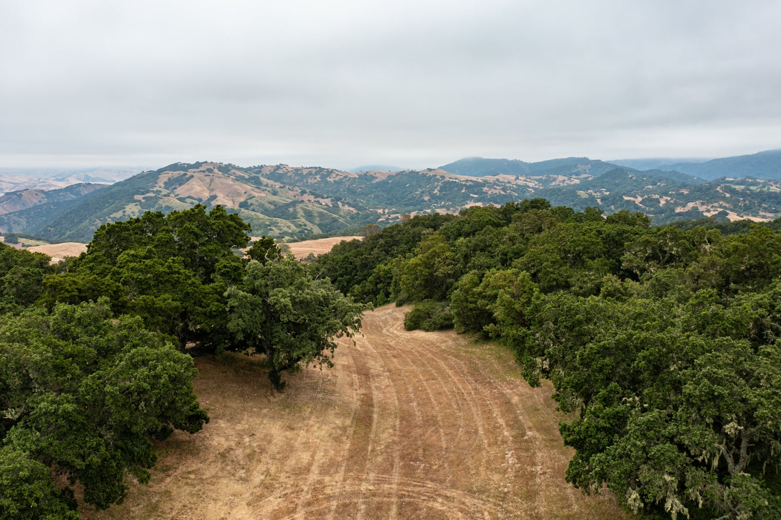 10-62 Chamisal Pass- - © Carmel Realty Company