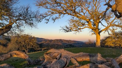 10MLS_23 VT_4606 - 23 Vasquez Trail - La Tierra Realty 2023