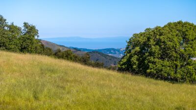 11 - 24_Vasquez_Trail_031_ - © Canning Properties Group 2025