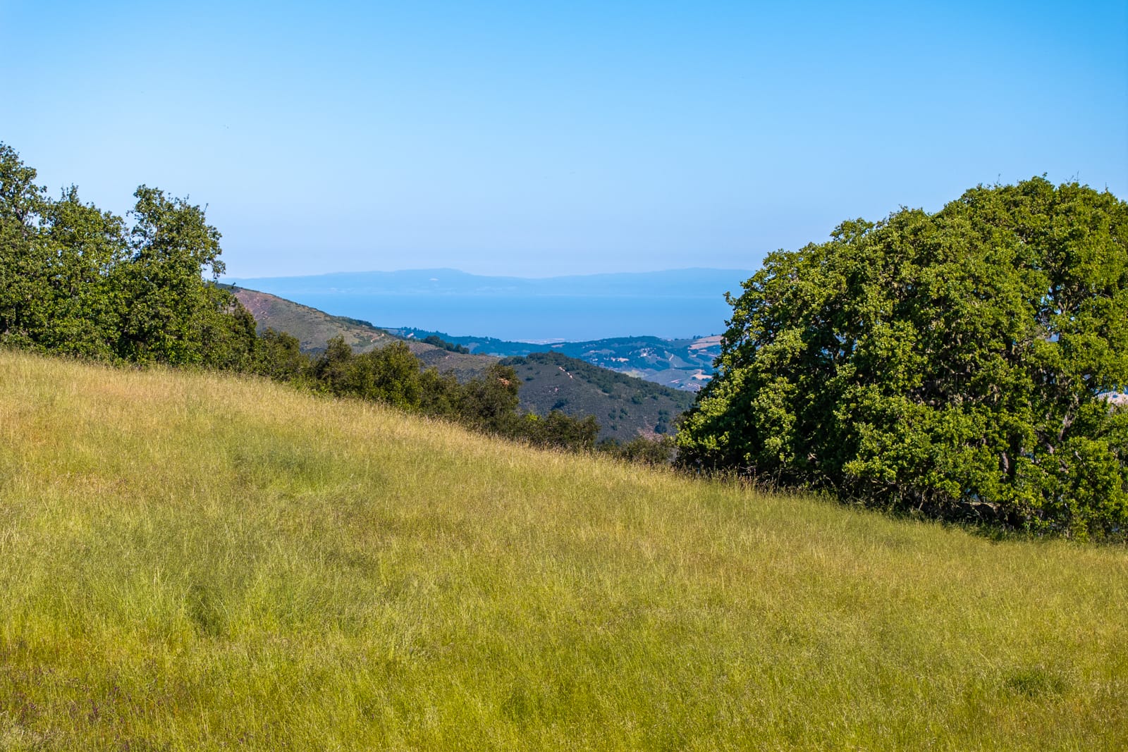 11 - 24_Vasquez_Trail_031_ - © Canning Properties Group 2025