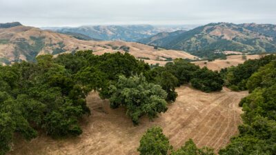 11-62 Chamisal Pass- - © Carmel Realty Company