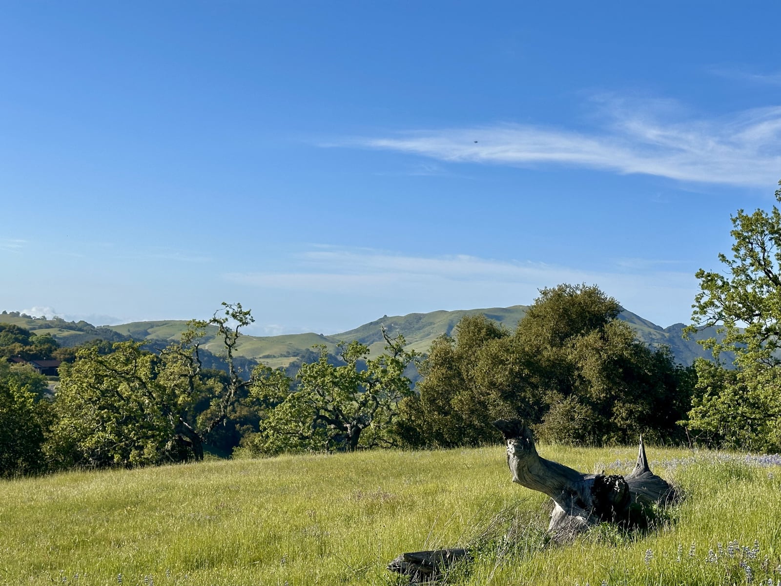 11-8TP - 8 Touche Pass - © Carmel Realty Company 2025
