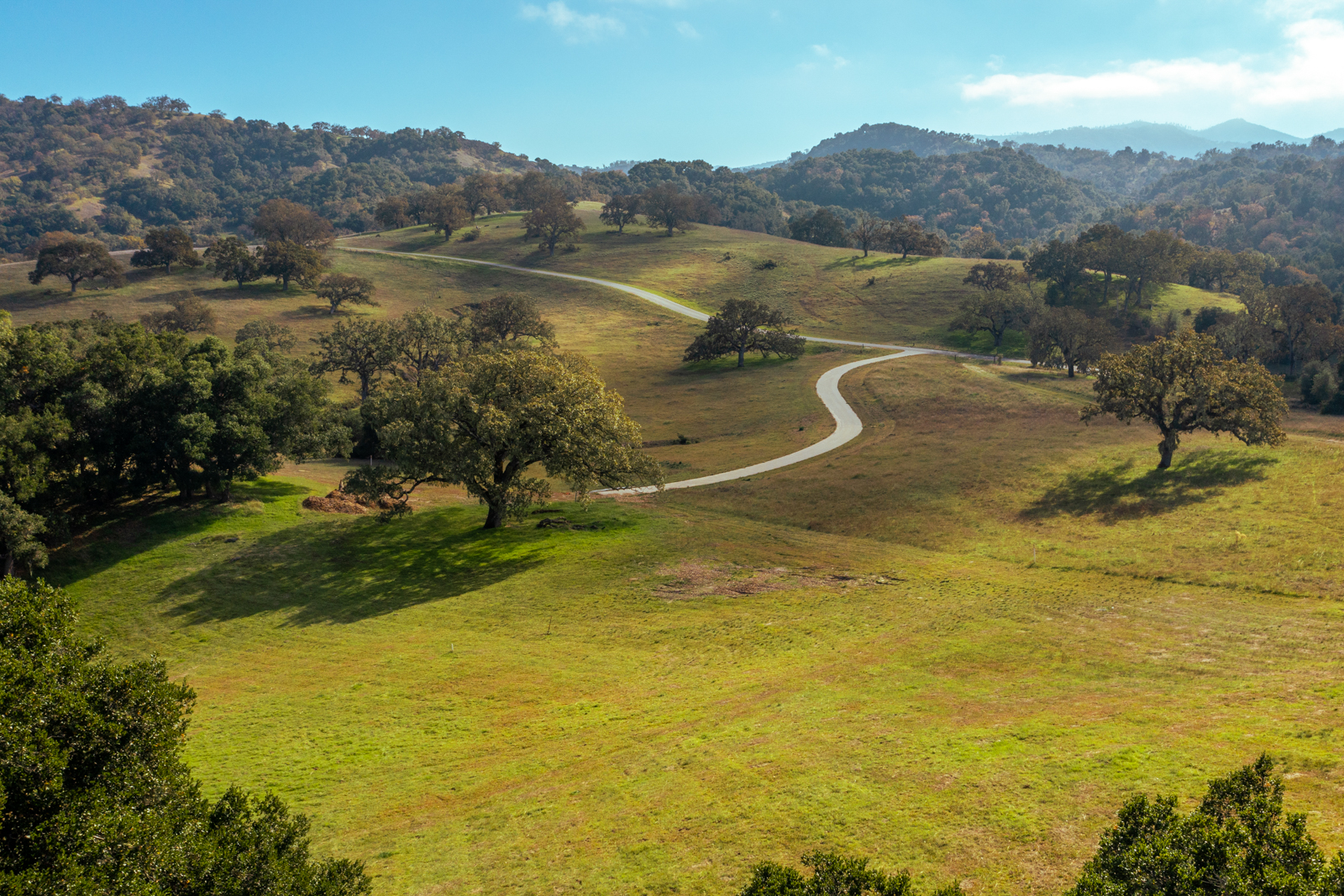 11_Vasquez_Trail_41 - © Canning Properties Group 2023
