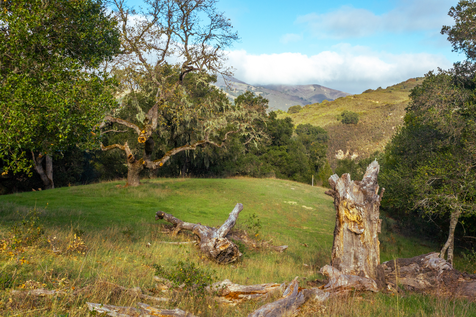 11_Vasquez_Trail_47 - © Canning Properties Group 2023