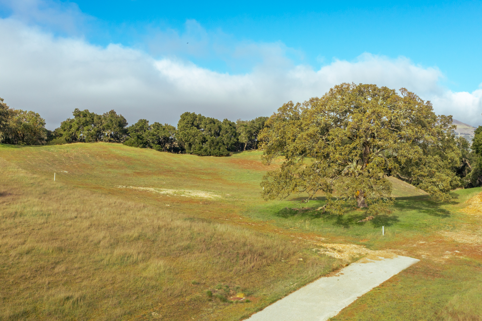 11_Vasquez_Trail_52 - © Canning Properties Group 2023