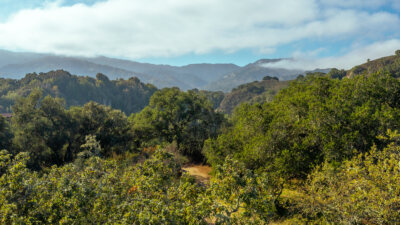 11_Vasquez_Trail_75 - © Canning Properties Group 2023
