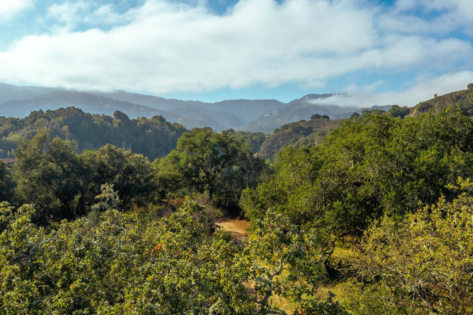 11_Vasquez_Trail_75 - © Canning Properties Group 2023