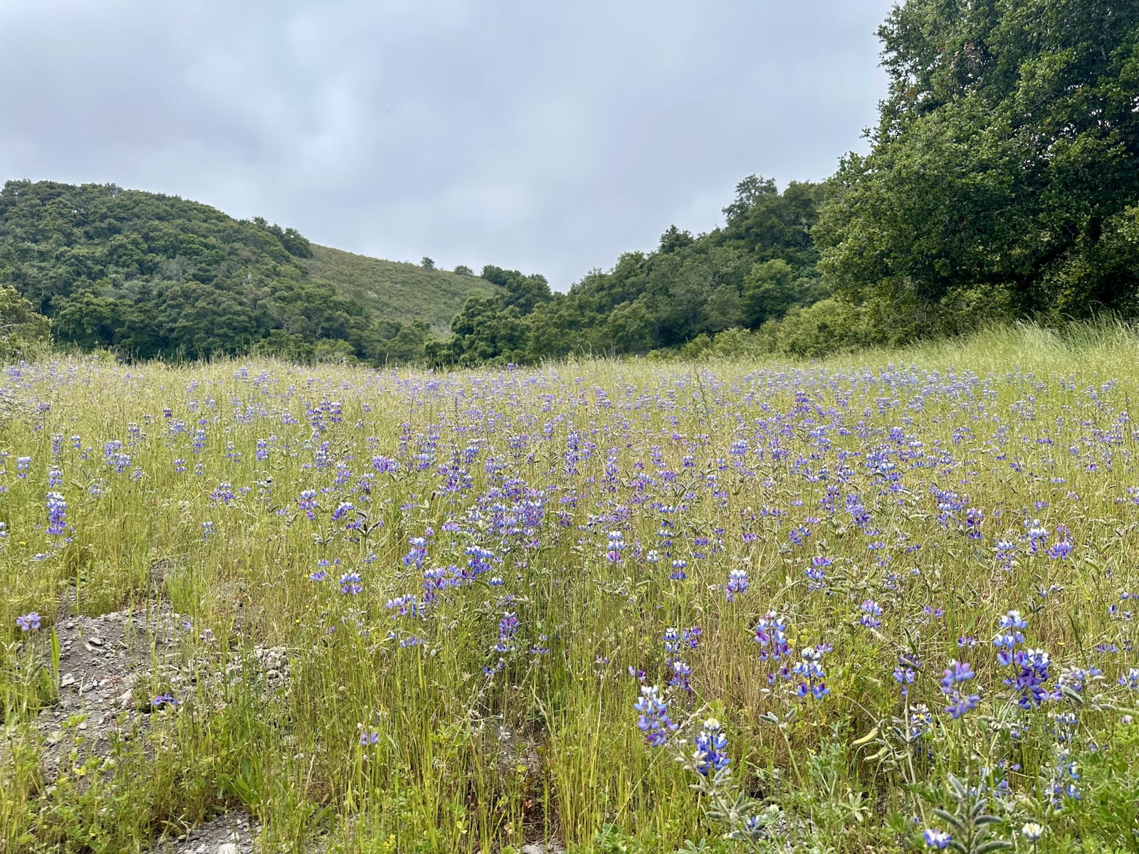 12 8 Corral Run - © Carmel Realty Company 2025