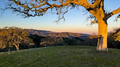 12MLS_23 VT_4613 - 23 Vasquez Trail - La Tierra Realty 2023