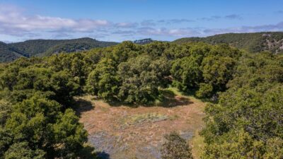 13 8 Corral Run - © Carmel Realty Company 2025