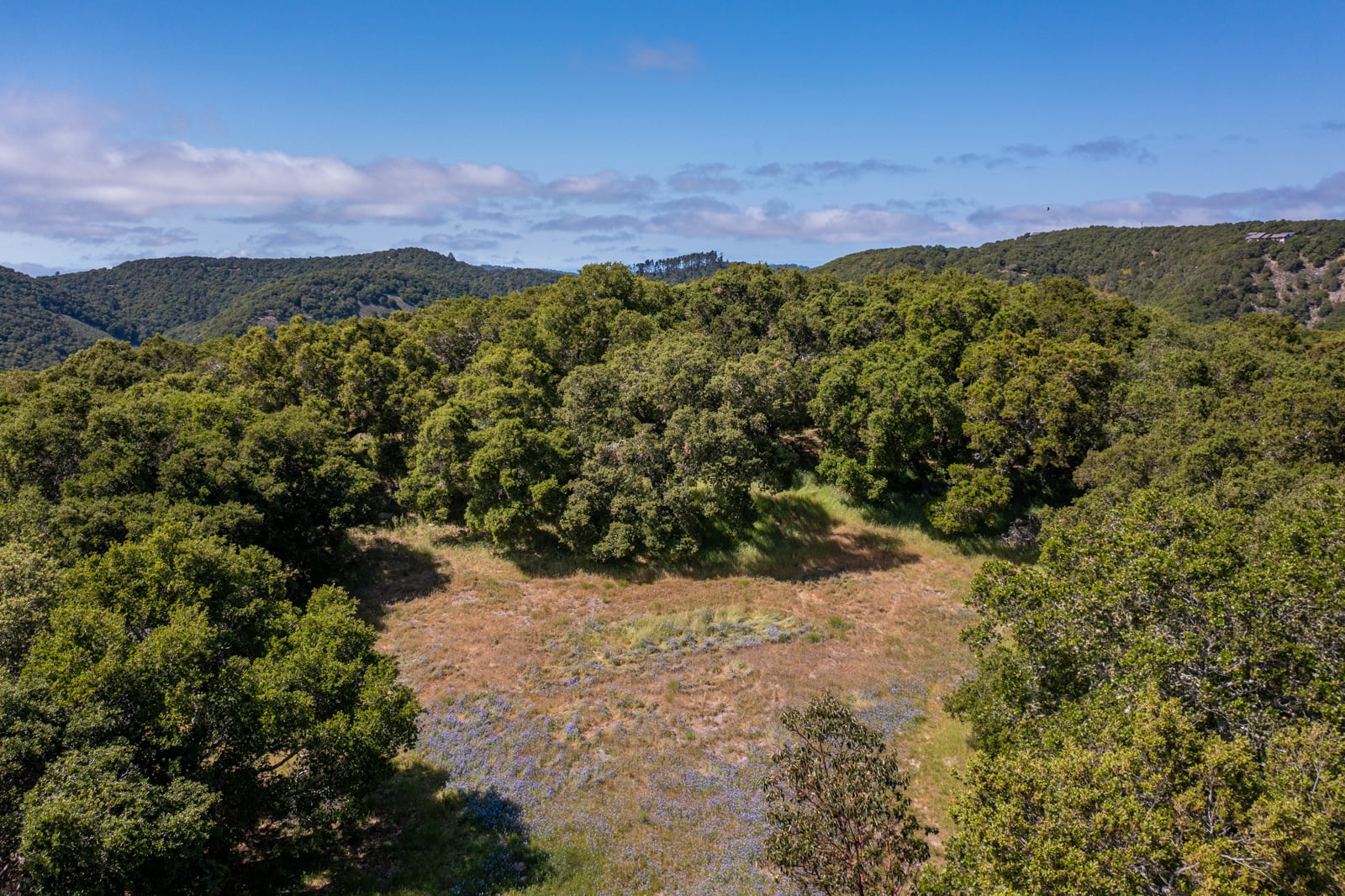 13 8 Corral Run - © Carmel Realty Company 2025