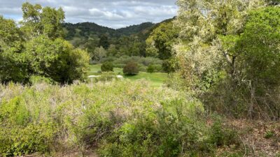 13 Long Ridge Trail - IMG_7990 - © Coldwell Banker Realty 2025
