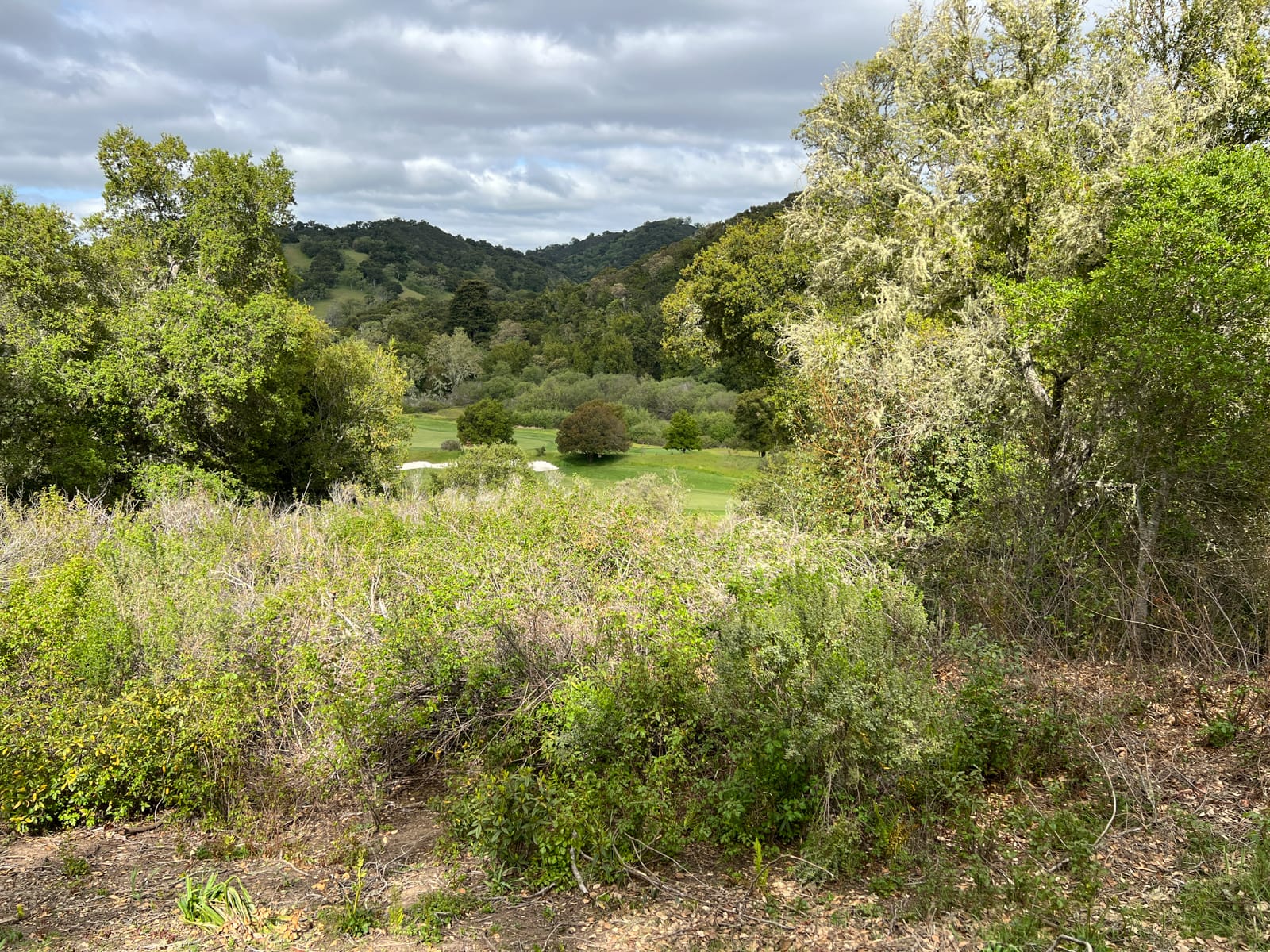 13 Long Ridge Trail - IMG_7990 - © Coldwell Banker Realty 2025