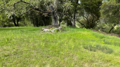 13 Long Ridge Trail - IMG_7991 - © Coldwell Banker Realty 2025