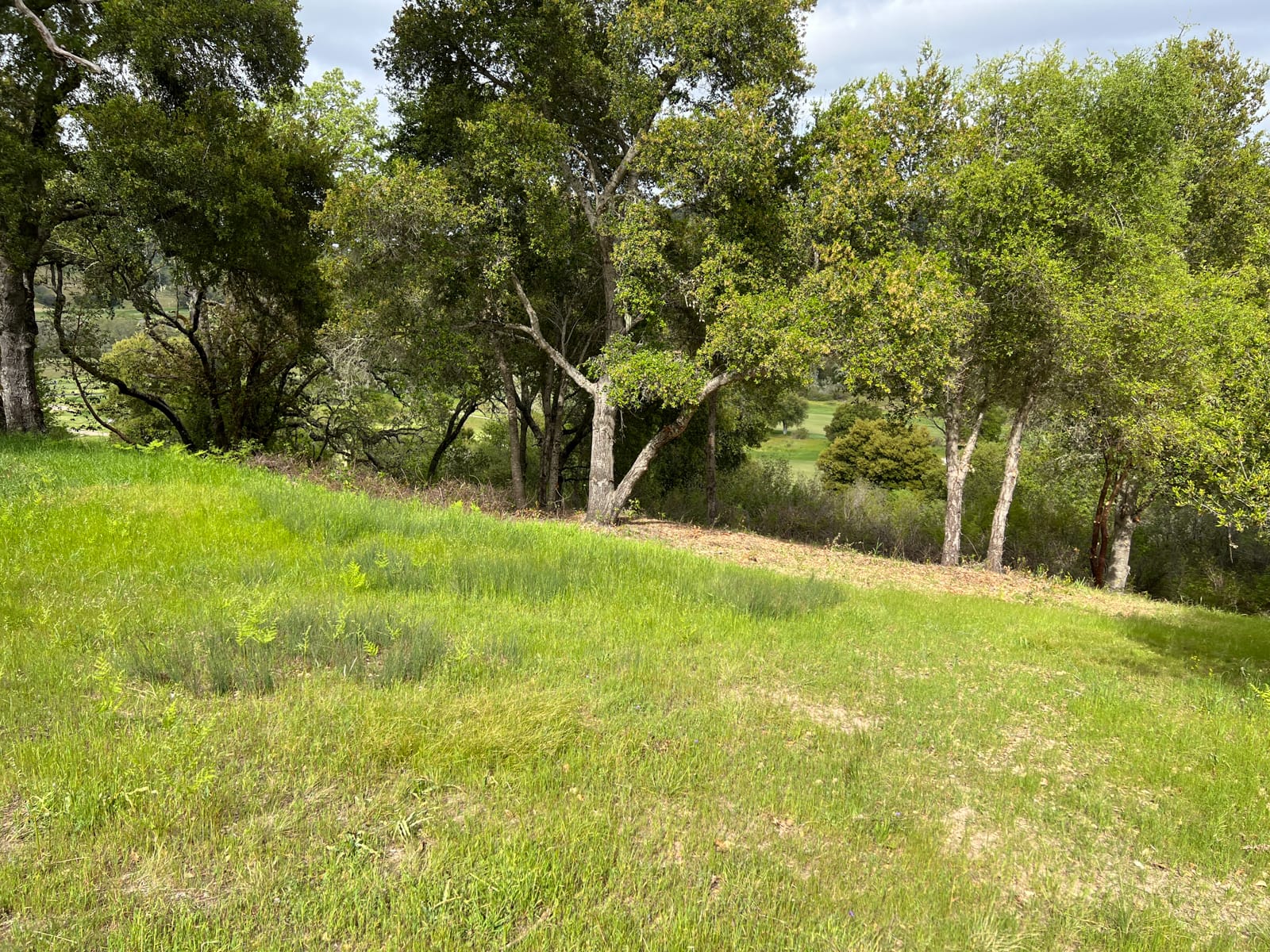 13 Long Ridge Trail - IMG_7992 - © Coldwell Banker Realty 2025