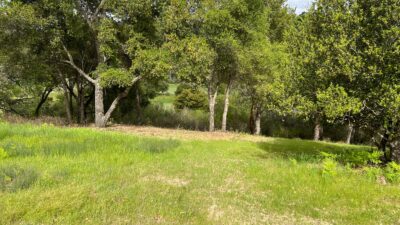 13 Long Ridge Trail - IMG_7993 - © Coldwell Banker Realty 2025