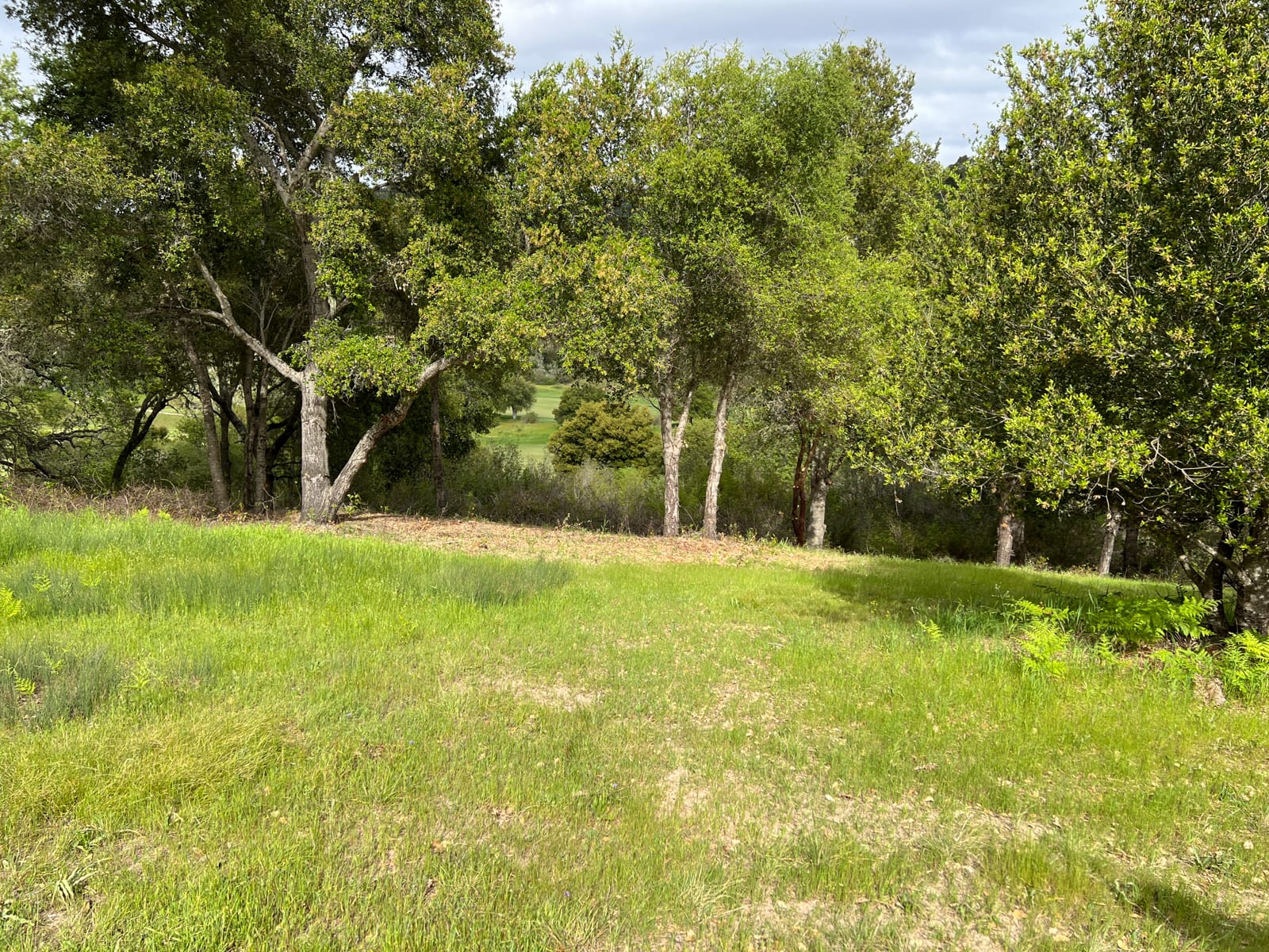 13 Long Ridge Trail - IMG_7993 - © Coldwell Banker Realty 2025