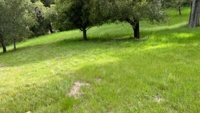 13 Long Ridge Trail - IMG_7994 - © Coldwell Banker Realty 2025