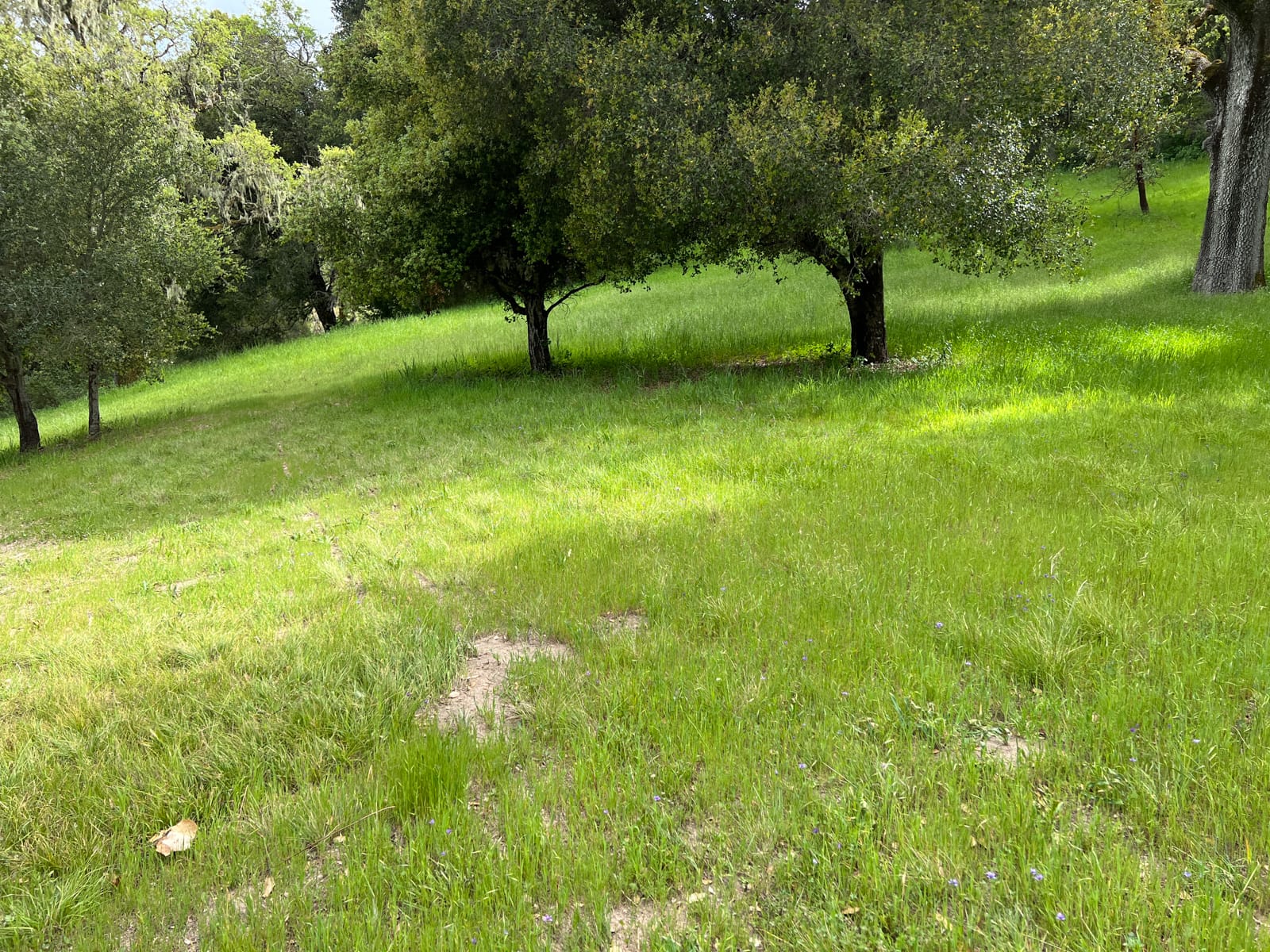 13 Long Ridge Trail - IMG_7994 - © Coldwell Banker Realty 2025