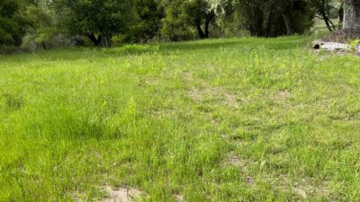 13 Long Ridge Trail - IMG_7996 - © Coldwell Banker Realty 2025