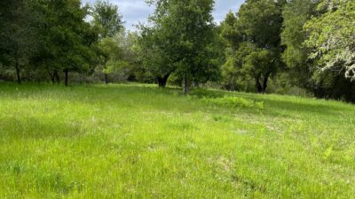 13 Long Ridge Trail - IMG_7997 - © Coldwell Banker Realty 2025