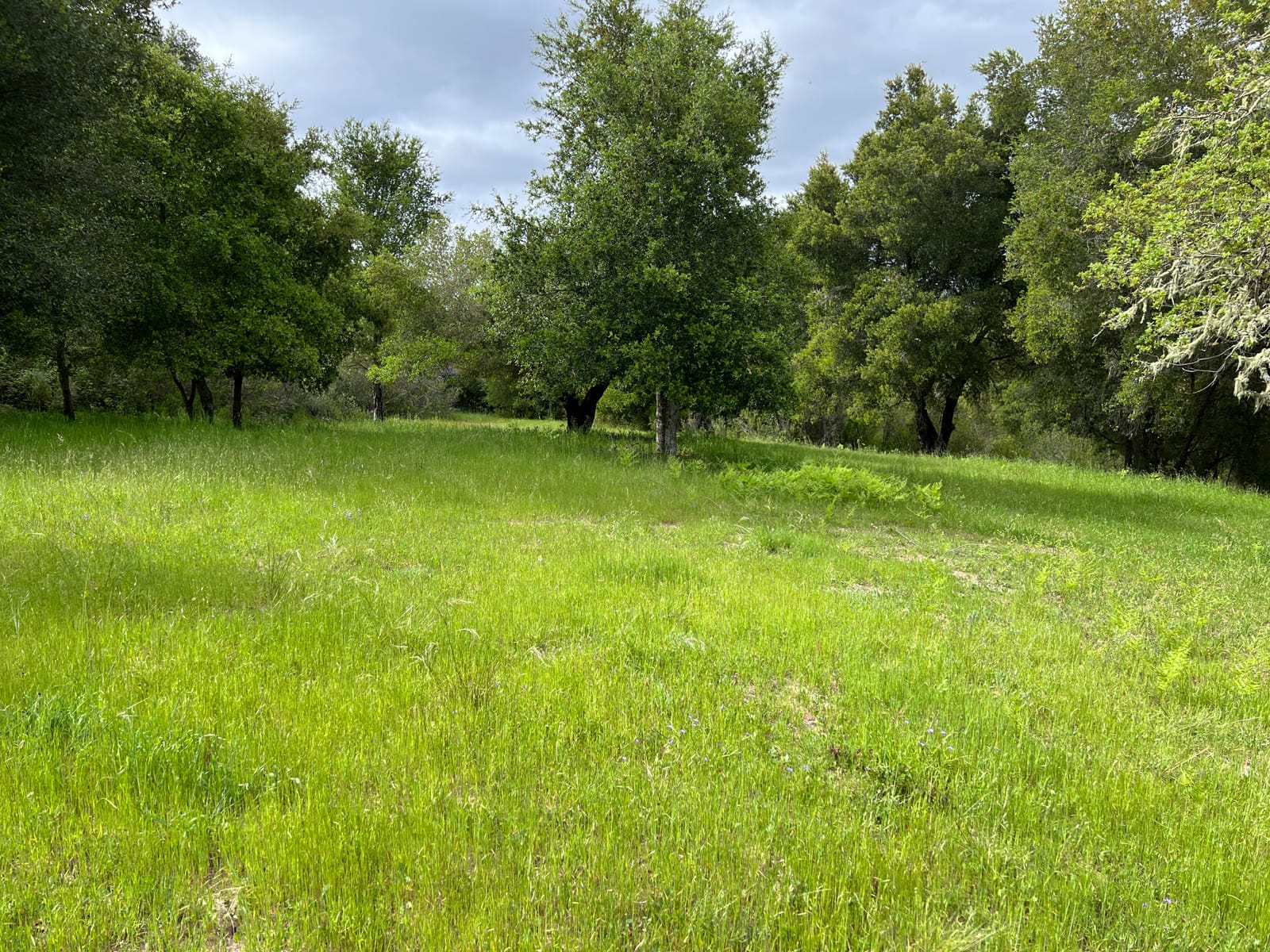 13 Long Ridge Trail - IMG_7997 - © Coldwell Banker Realty 2025