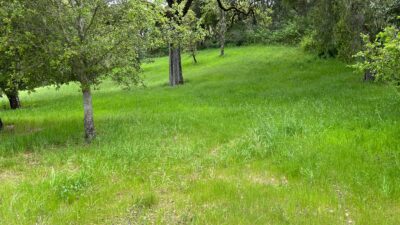 13 Long Ridge Trail - IMG_7998 - © Coldwell Banker Realty 2025
