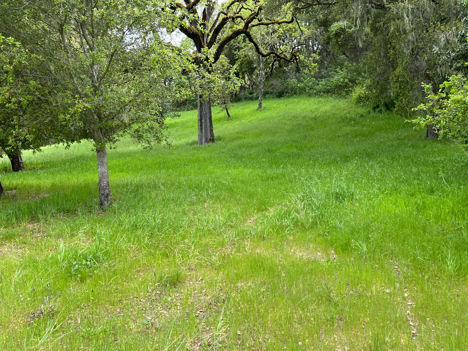 13 Long Ridge Trail - IMG_7998 - © Coldwell Banker Realty 2025