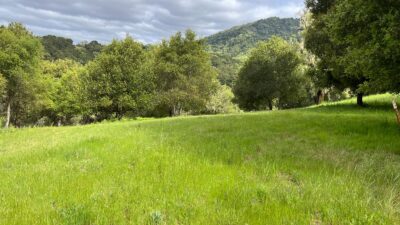 13 Long Ridge Trail - IMG_7999 - © Coldwell Banker Realty 2025