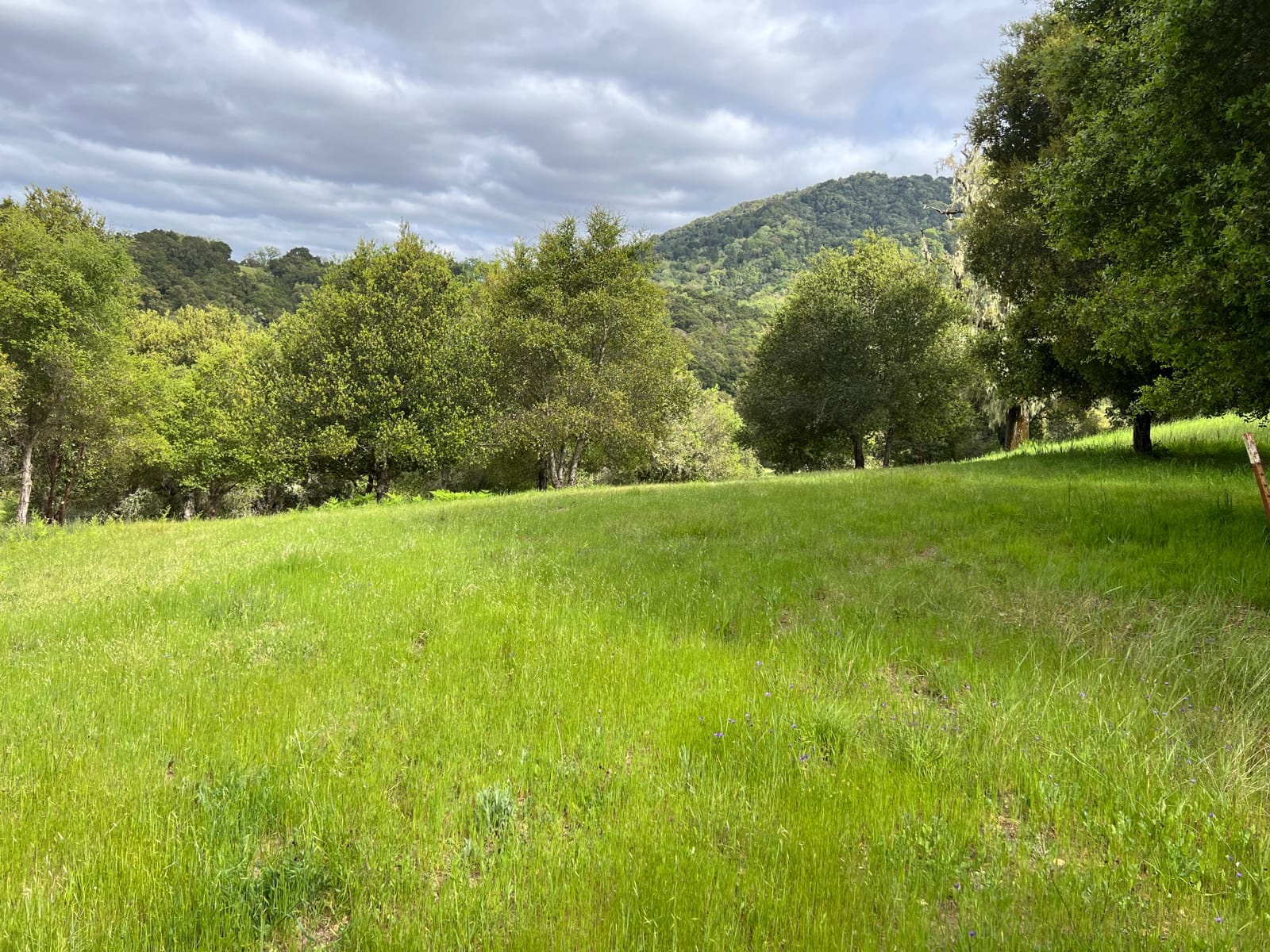 13 Long Ridge Trail - IMG_7999 - © Coldwell Banker Realty 2025
