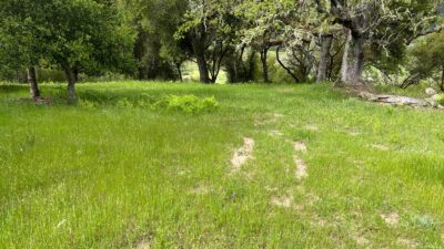 13 Long Ridge Trail - IMG_8001 - © Coldwell Banker Realty 2025