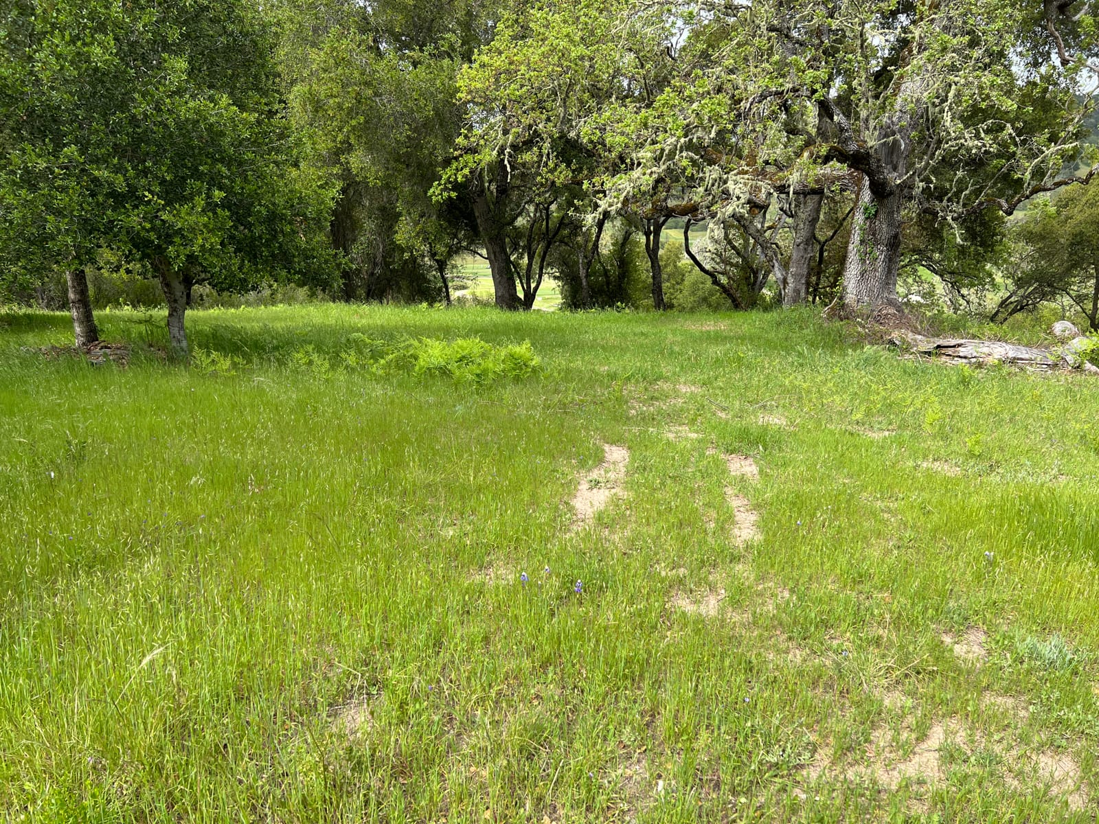 13 Long Ridge Trail - IMG_8001 - © Coldwell Banker Realty 2025