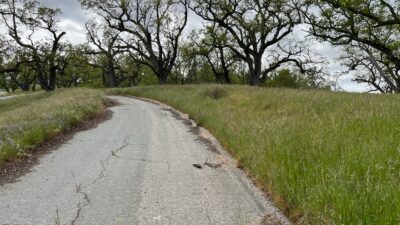 13 Long Ridge Trail - IMG_8011 - © Coldwell Banker Realty 2025