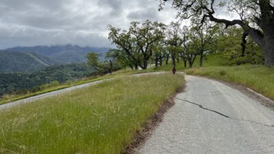 13 Long Ridge Trail - IMG_8014 - © Coldwell Banker Realty 2025