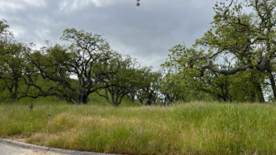 13 Long Ridge Trail - IMG_8019 - © Coldwell Banker Realty 2025
