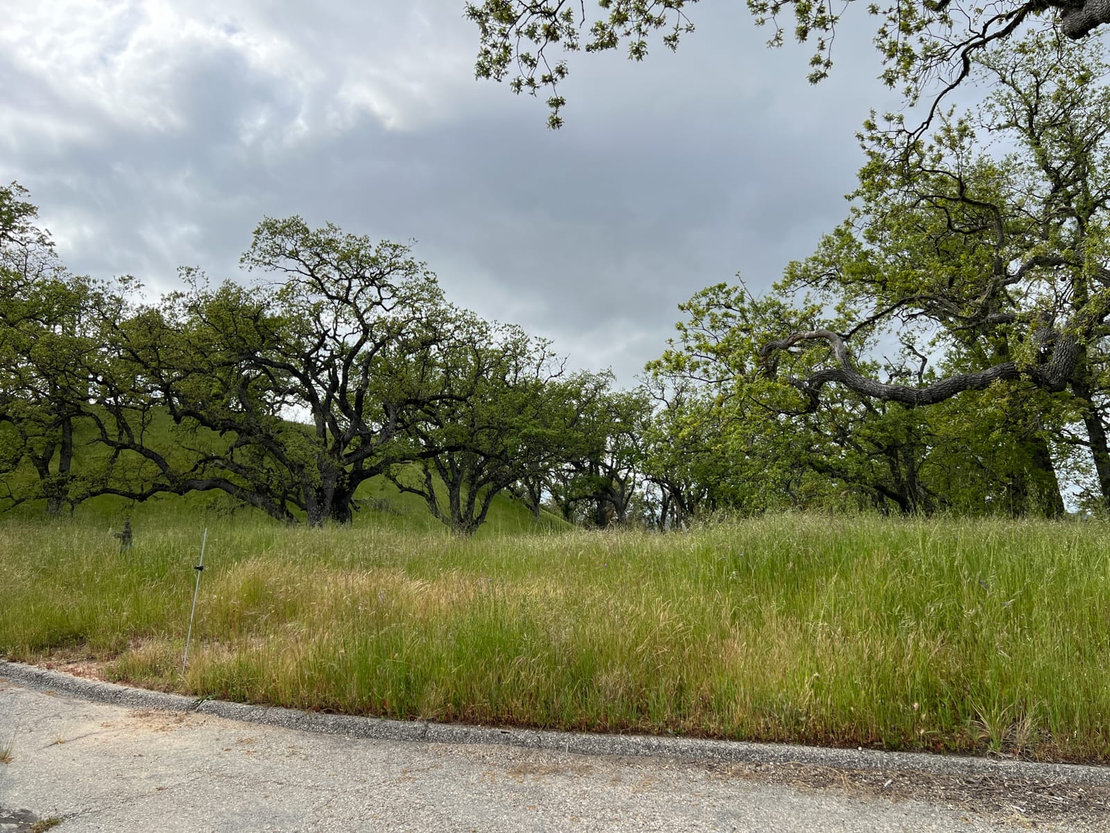 13 Long Ridge Trail - IMG_8019 - © Coldwell Banker Realty 2025