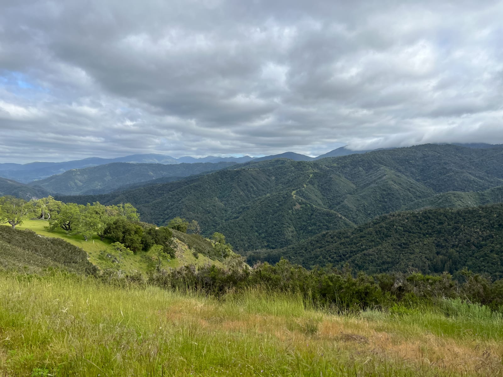 13 Long Ridge Trail - IMG_8021 - © Coldwell Banker Realty 2025 - HERO
