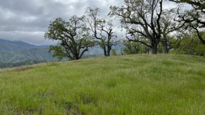 13 Long Ridge Trail - IMG_8033 - © Coldwell Banker Realty 2025